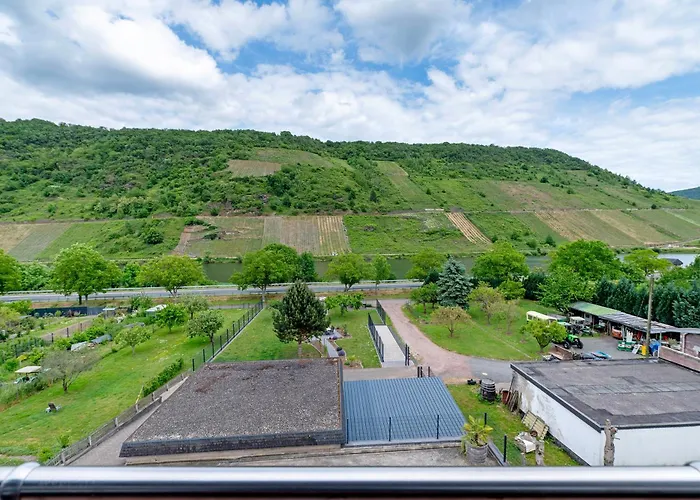 Haus David ברידל